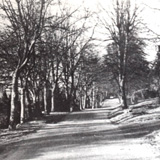 Lincoln Road from Woodside Hill